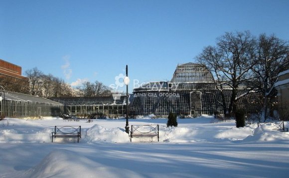 Ботанический сад Петра