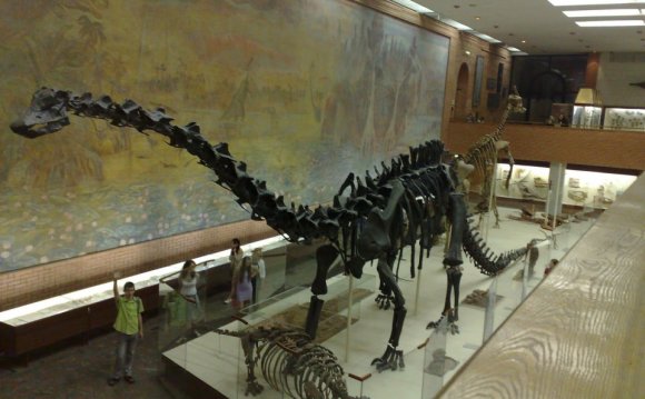 Палеонтологический Музей Санкт Петербург